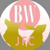 🇯🇵brightwinJFC🇯🇵 (@brightwinjfc) 's Twitter Profile