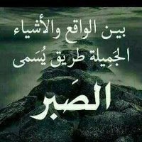محمدالتنوري العامري (@mohamma15068528) 's Twitter Profile