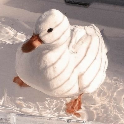🏳️‍🌈ℝ𝕖𝕪🏳️‍🌈さんのプロフィール画像