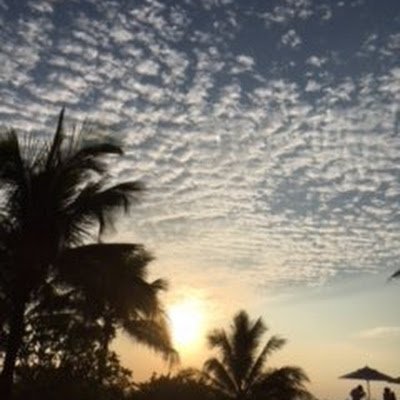 gair1659379's profile picture. 