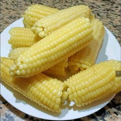 kunguru_mulari's profile picture. teacher