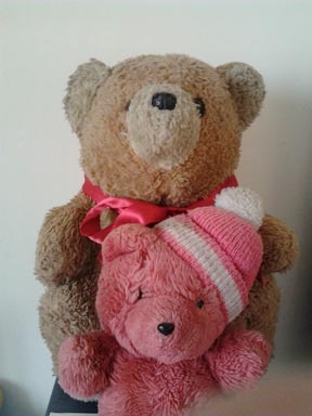 I am a veteran from the Royal Bear Force :) I like hugs and treacle sarnies and live with my buddy @olliecat1997