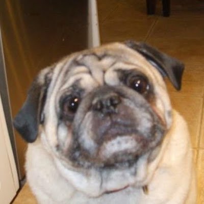 Canadian111255's profile picture. 