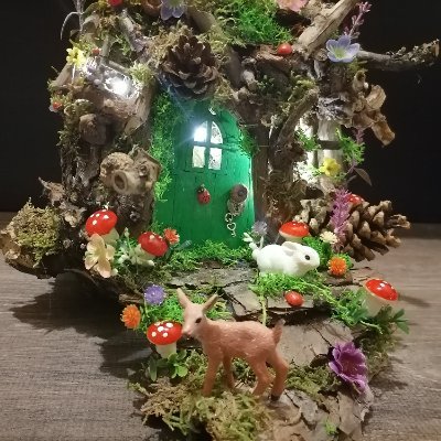 Miniature fairy gardens
https://t.co/f2awJFc74C