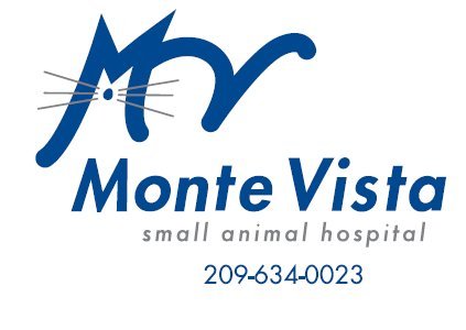 Our veterinary hospital, located in Turlock, is open 7 days a week to serve our communities' pets with dedication, knowledge, and compassion.
