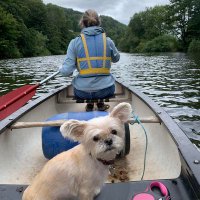 Cat Eversfield (@cateversfield) 's Twitter Profile Photo Cat Eversfield (@cateversfield) 's Twitter Profile Photo