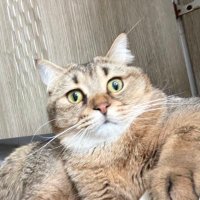 롸아 (@lwaa526) 's Twitter Profile
