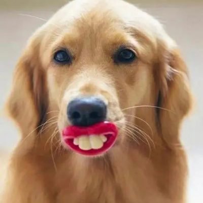 qsys0524's profile picture. 万物随缘