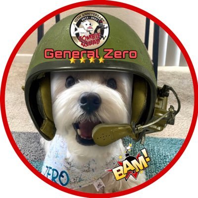 General & 3rd in Command of Zombiesquad / ZS Elite Operations Commander / ALL PHOTOS COPYRIGHTED / BarkOften!BarkOutLoud ! #ZSHQ #ZEOPS #TheAviators 👊🏻BAM 💥