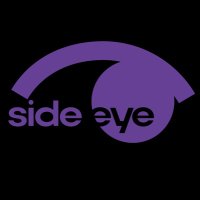 Side eYe(@sideYe_prods) 's Twitter Profile Photo