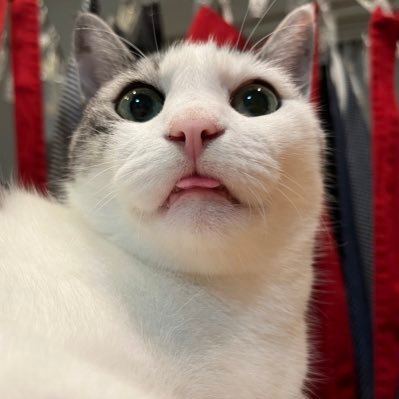 gonta_8931's profile picture. 