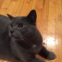 Jon (@data_smaug) 's Twitter Profile