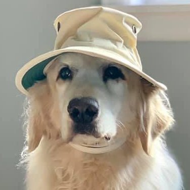 Cancer Survivor 💪 Dog Momma 🐶 Prefer dogs to people 🐾 True crime junkie ⚖️ Dogtrovert 🙃