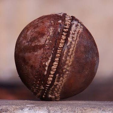 Thedon9994's profile picture. The clue is in the name