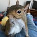 Barbara Midgette (@mongoose17) Twitter profile photo Barbara Midgette (@mongoose17) Twitter profile photo
