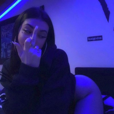 botond_bln's profile picture.