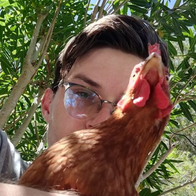 _Hife_'s profile picture. "Biggest troll I've ever played with" - Pengu