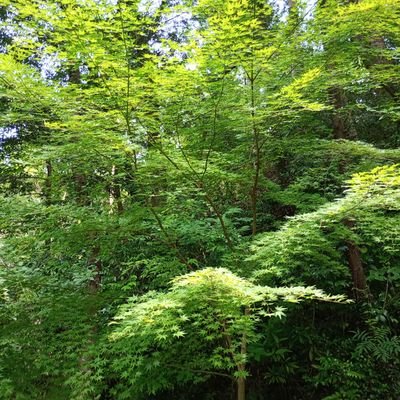 69bathroompuso's profile picture. 神戸〜高速神戸〜新開地〜湊川公園を散策する人 時々　垂水から長田まで散策
毎年お爺さんになってます。