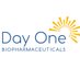 Day One Biopharmaceuticals (@DayOneBio) Twitter profile photo