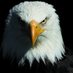 MarcosT (@marcos95434847) Twitter profile photo MarcosT (@marcos95434847) Twitter profile photo
