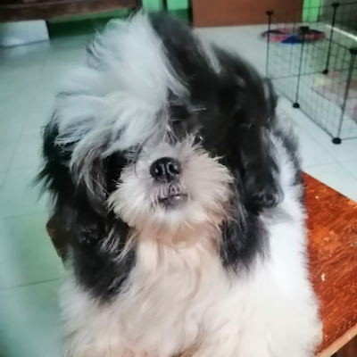 august31maddi's profile picture. 