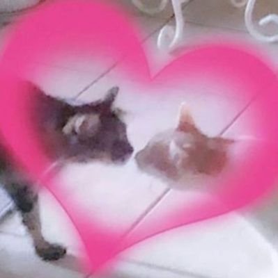 jajajさんのプロフィール画像
