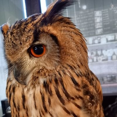 うちさんのプロフィール画像
