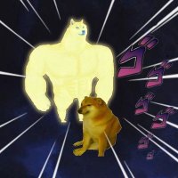 2 Ðoge (@point2doge) 's Twitter Profile