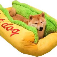 暴言を投げかけても良いアカウント (@god_dog084) Twitter profile photo