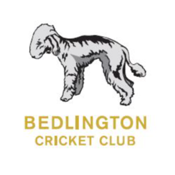 The Official Twitter account of Bedlington Cricket Club, members of the @NTCLCricket. Sponsors: @PhilsPlaice @ArianLtd @TaylorFoods @datamasterminds