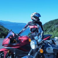 SH!N🏍(基本ソロ) (@yzf_shin_r25) 's Twitter Profile