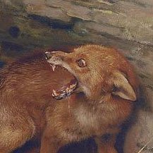Impolite 🦊さんのプロフィール画像