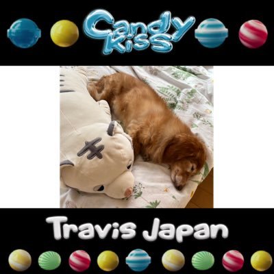 Travis Japan応援中💜のえ担 TravisJapan箱推し 🐯無言フォロー大歓迎です。無言フォローお許しください。