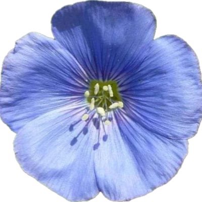 BogdanDz's profile picture. Bóg,Ojczyzna,Rodzina.Polski my naród,polski ród.Jeszcze Polska nie zginęła.Lecz należy pamiętać że „kto w Polsce mieszka ten się w cyrku nie śmieje”