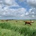 Mooi Nederland ๐ณ๐ฑ (@pictureofnl) Twitter profile photo Mooi Nederland ๐ณ๐ฑ (@pictureofnl) Twitter profile photo