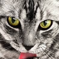 John Walker (@johnwal75773589) 's Twitter Profile