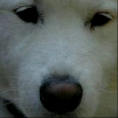 murphythomas's profile picture. 