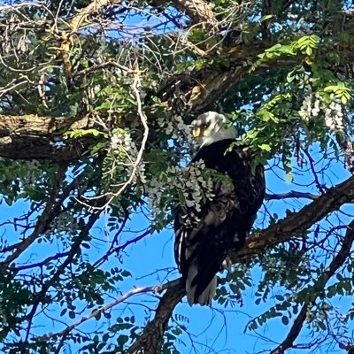 RobHough6223's profile picture. 