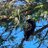 RobHough6223's profile image