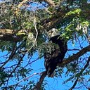 Eagle Has Landed - @RobHough6223 - Twitter