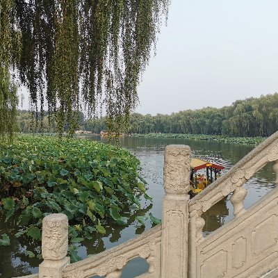 caoxing50248660's profile picture. 