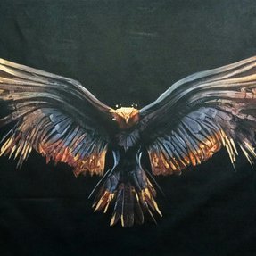 surveyorofCT's profile picture. CT's always fun