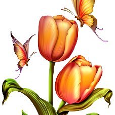 cocopassiondu87's profile picture. 💖la France que nous avons connue et aimée est en train de s'effondrer sur elle-même.💖