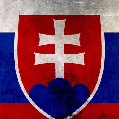 R3NO_sLOVEnsko Profile Picture