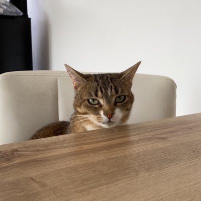 _eemuY's profile picture. 10/01/16 💘