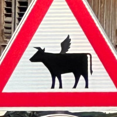 Evidenzbasiertes Schlafschaf 🦄 reines allgäuer Blut ⛰🩸Reisende 🚛