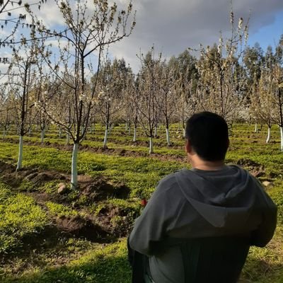 Creo en la Libertad , Igualdad y Fraternidad .....las personas creamos nuestro futuro