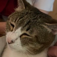 山田 (@yamadabonjin) 's Twitter Profile