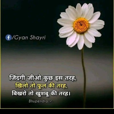 Chandri75269009 Profile Picture