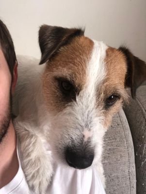 AndrzejPowrozn1's profile picture. Optymista bez  kłamstwa chamstwa